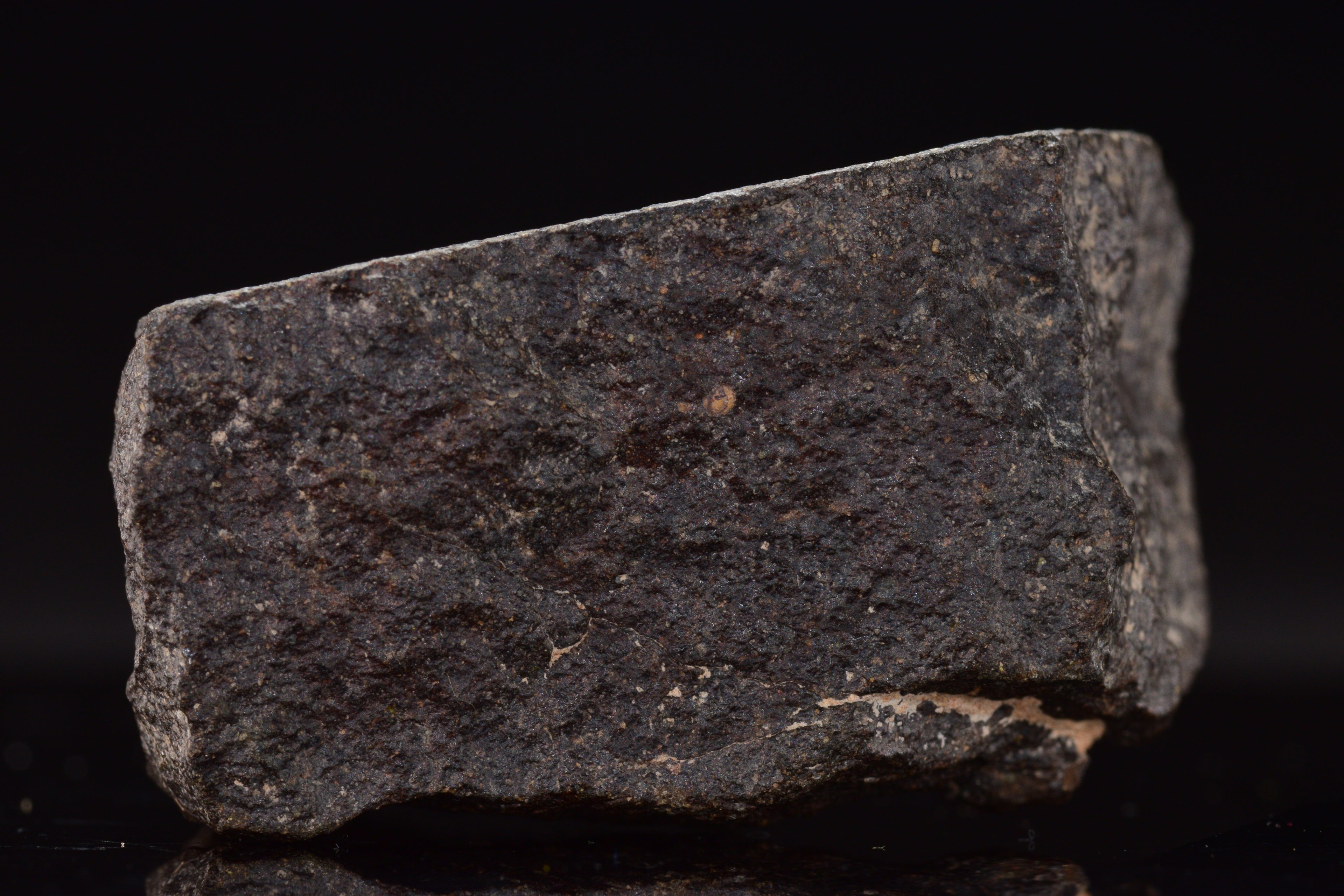 NWA 17489 (CO3.0) Carbonaceous Chondrite Meteorite&nbsp;