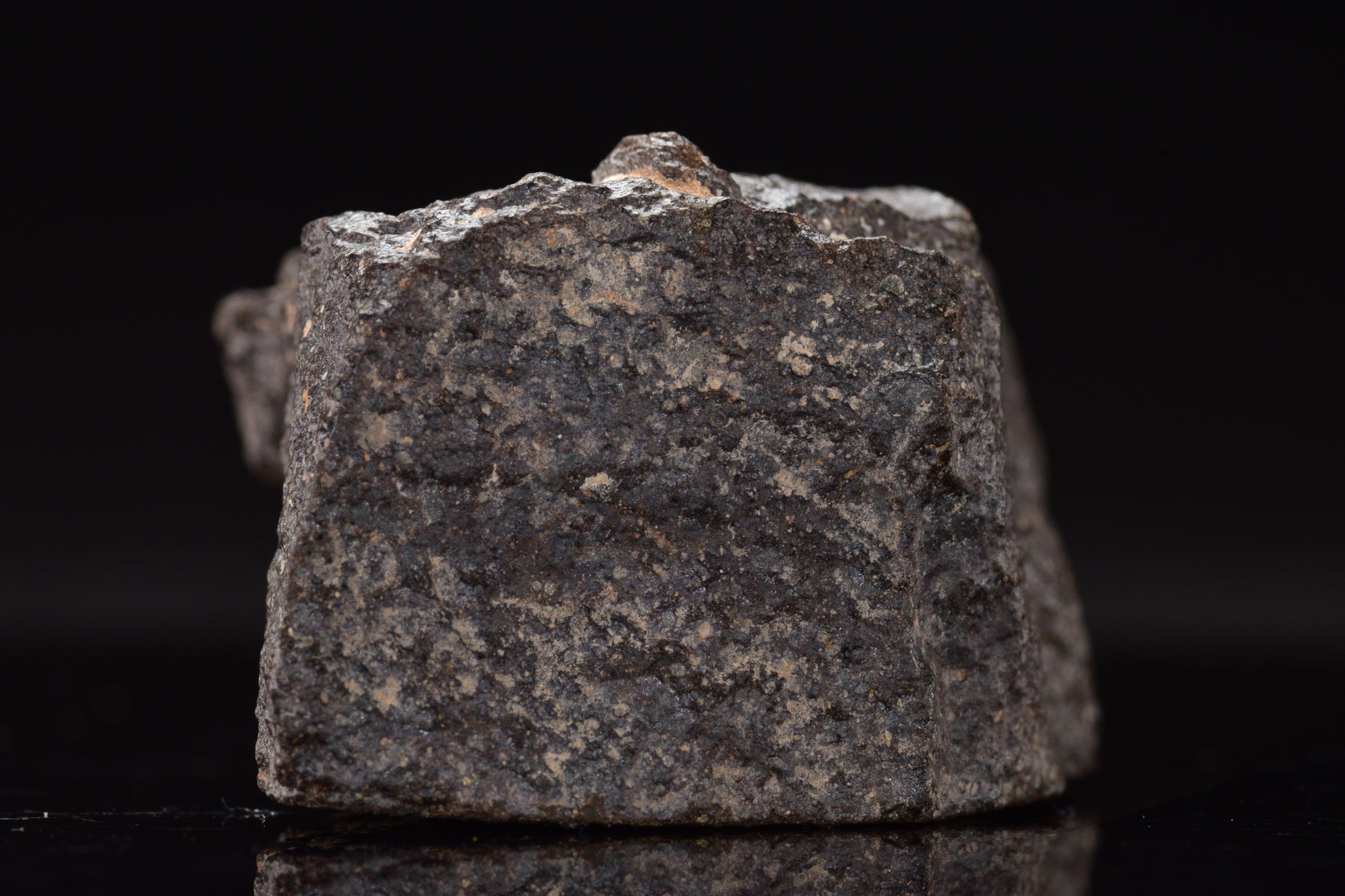 NWA 17489 (CO3.0) Carbonaceous Chondrite Meteorite&nbsp;