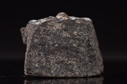 NWA 17489 (CO3.0) Carbonaceous Chondrite Meteorite&nbsp;