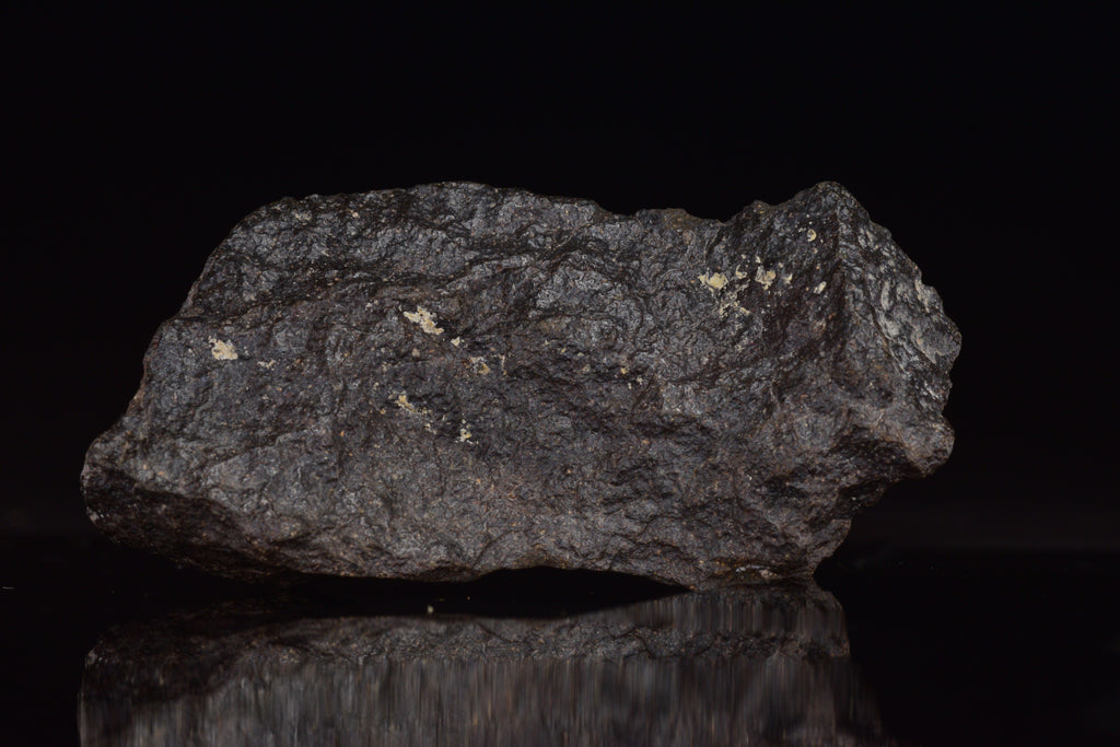 NWA 17489 (CO3.0) Carbonaceous Chondrite Meteorite&nbsp;