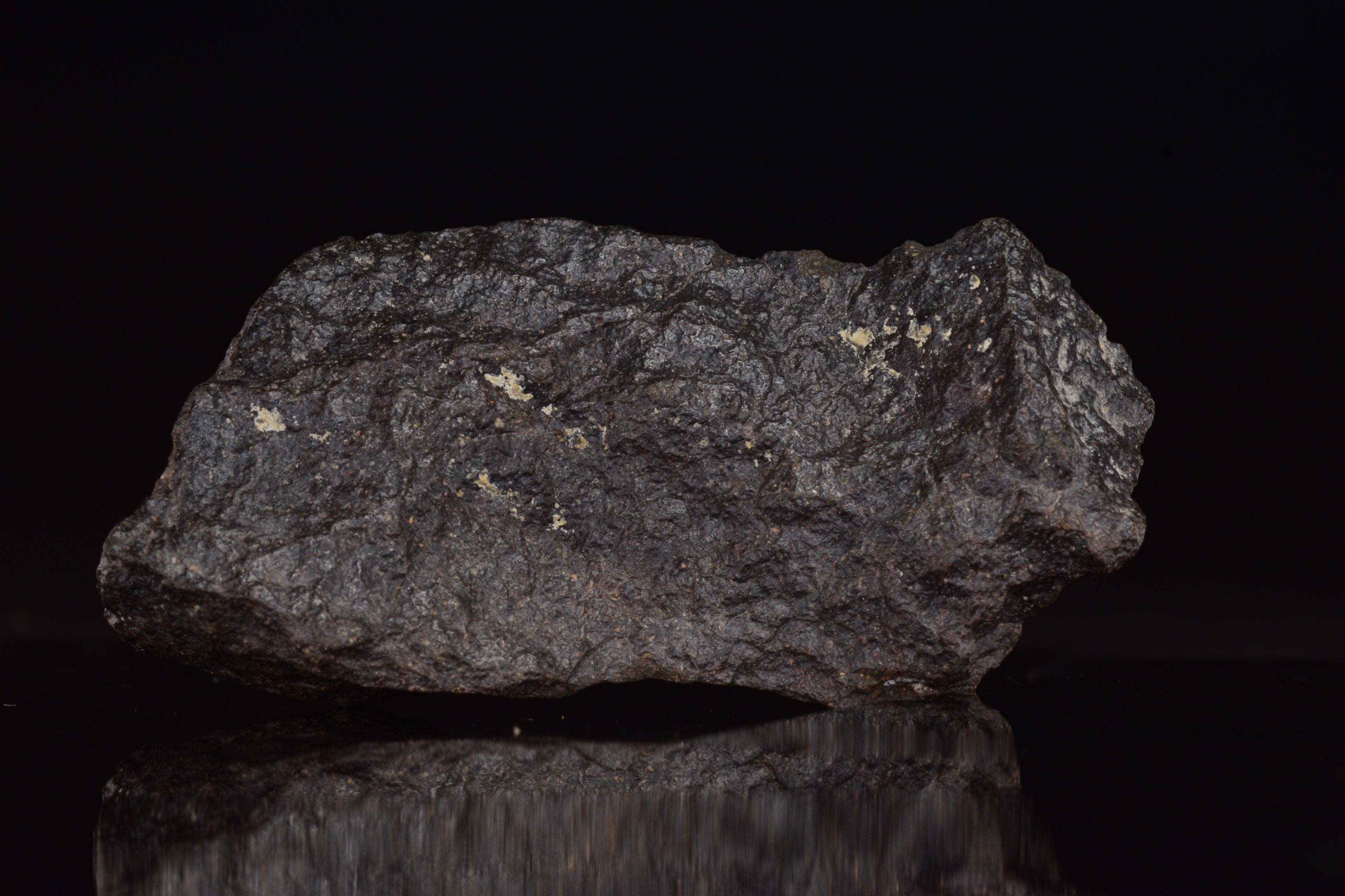 NWA 17489 (CO3.0) Carbonaceous Chondrite Meteorite&nbsp;