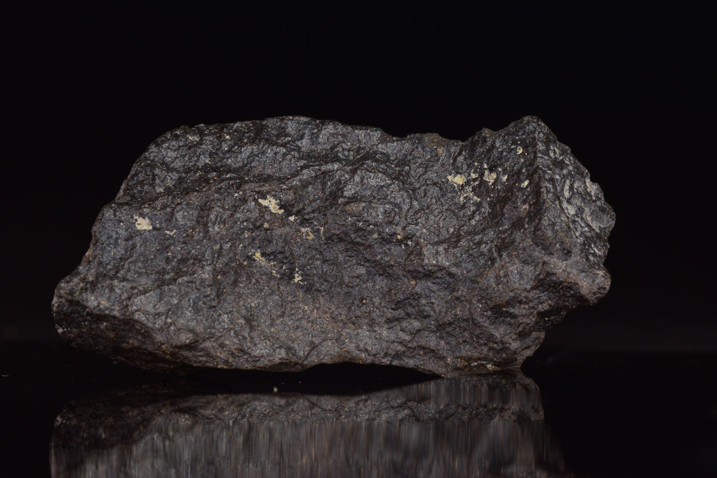 NWA 17489 (CO3.0) Carbonaceous Chondrite Meteorite&nbsp;