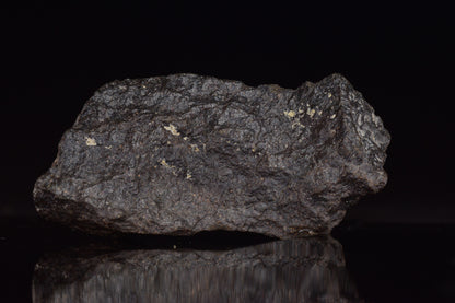 NWA 17489 (CO3.0) Carbonaceous Chondrite Meteorite&nbsp;