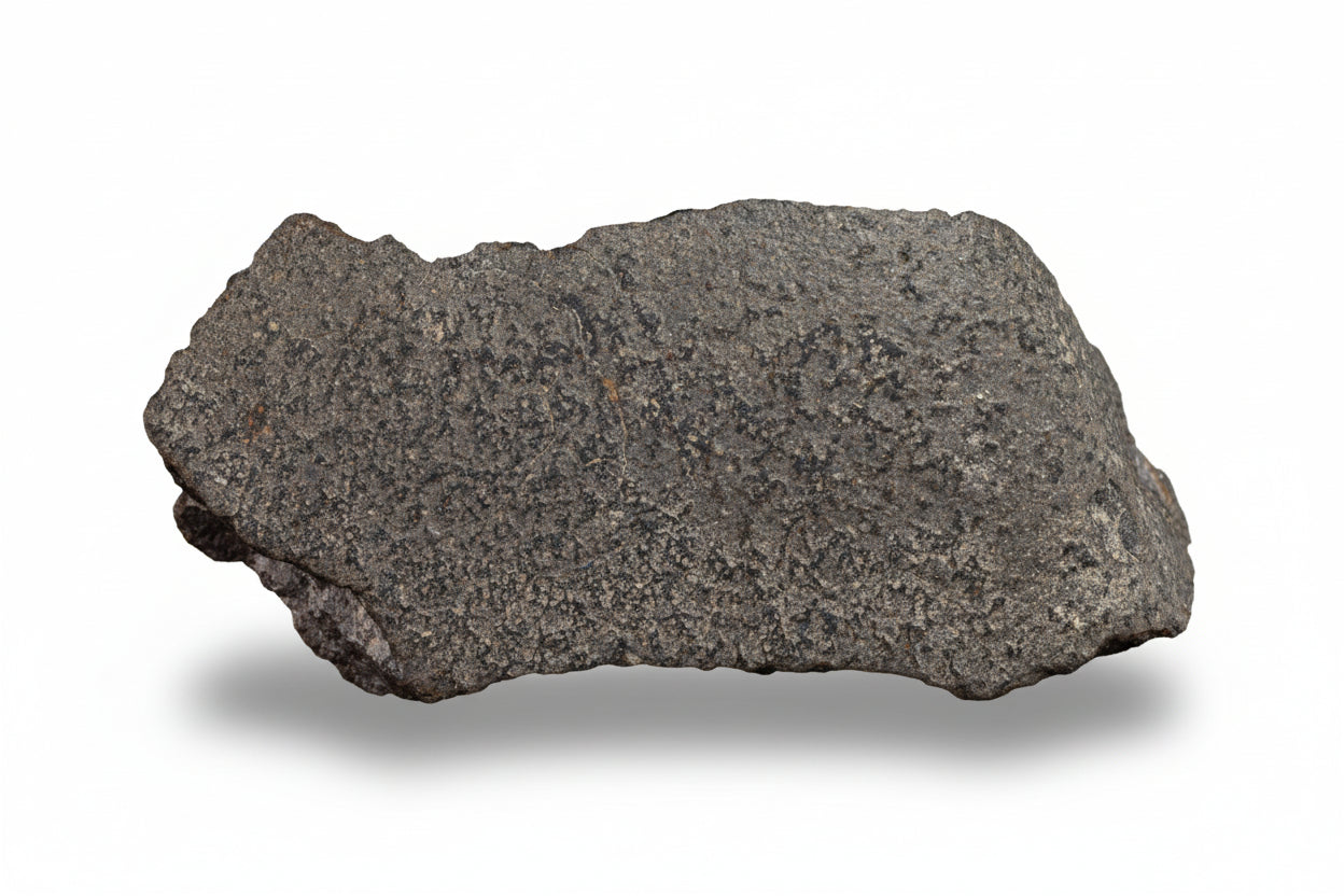 NWA 17489 (CO3.0) Carbonaceous Chondrite Meteorite&nbsp;