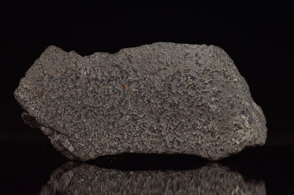 NWA 17489 (CO3.0) Carbonaceous Chondrite Meteorite&nbsp;