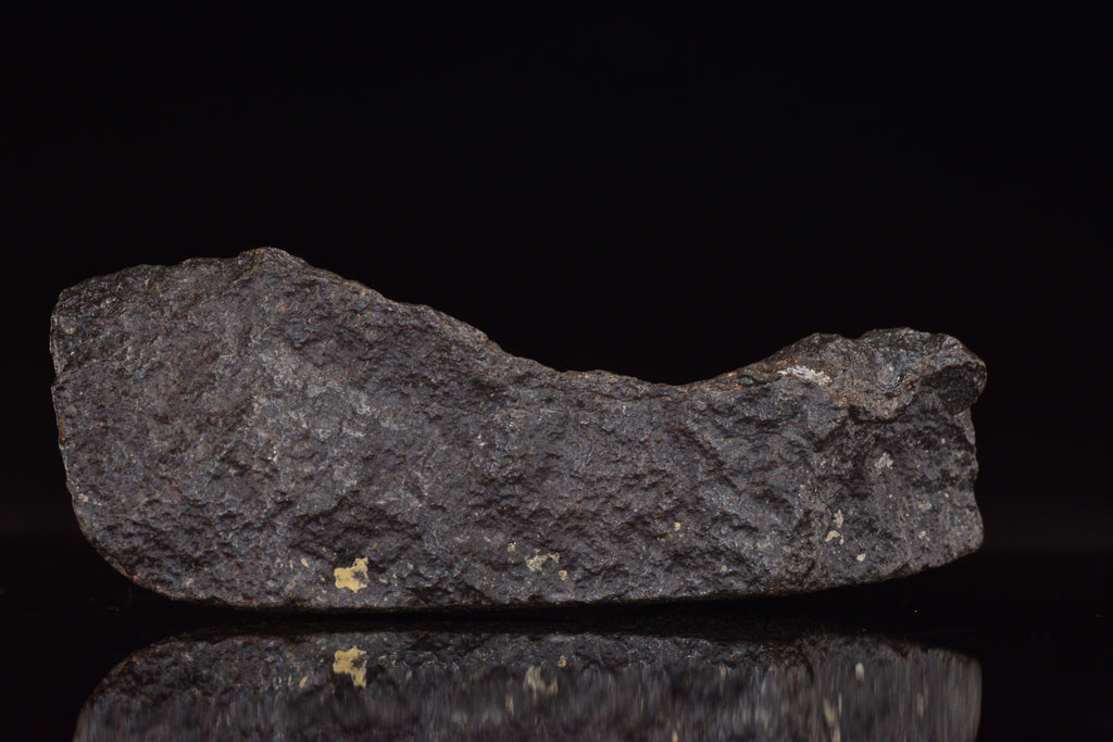 NWA 17489 (CO3.0) Carbonaceous Chondrite Meteorite&nbsp;