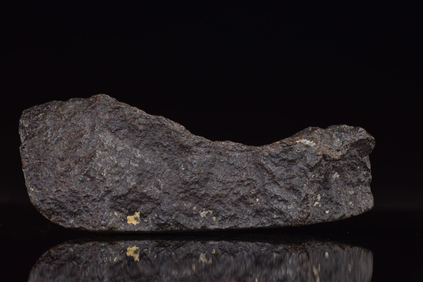 NWA 17489 (CO3.0) Carbonaceous Chondrite Meteorite&nbsp;