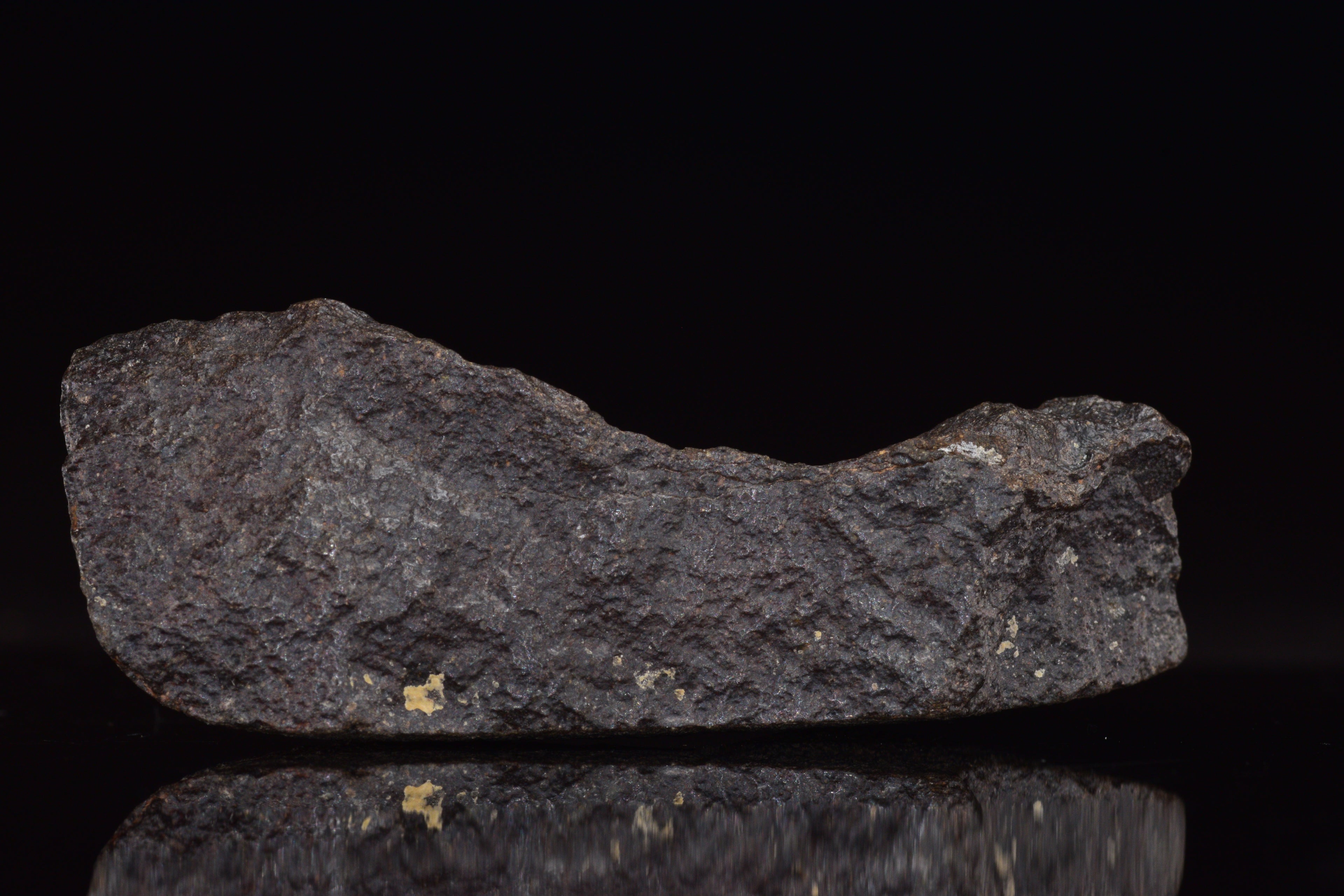 NWA 17489 (CO3.0) Carbonaceous Chondrite Meteorite&nbsp;