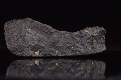 NWA 17489 (CO3.0) Carbonaceous Chondrite Meteorite&nbsp;