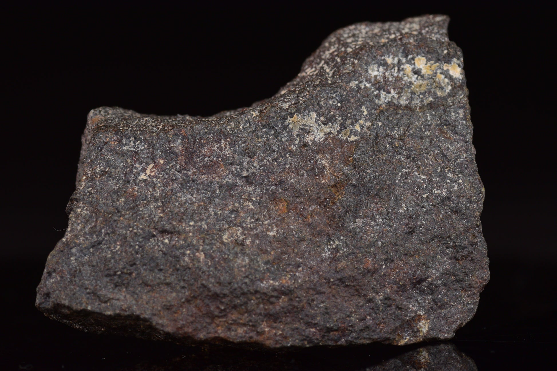 NWA 17489 (CO3.0) Carbonaceous Chondrite Meteorite&nbsp;