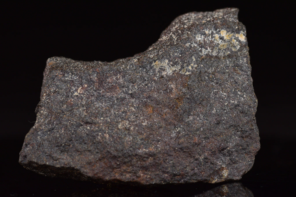 NWA 17489 (CO3.0) Carbonaceous Chondrite Meteorite&nbsp;