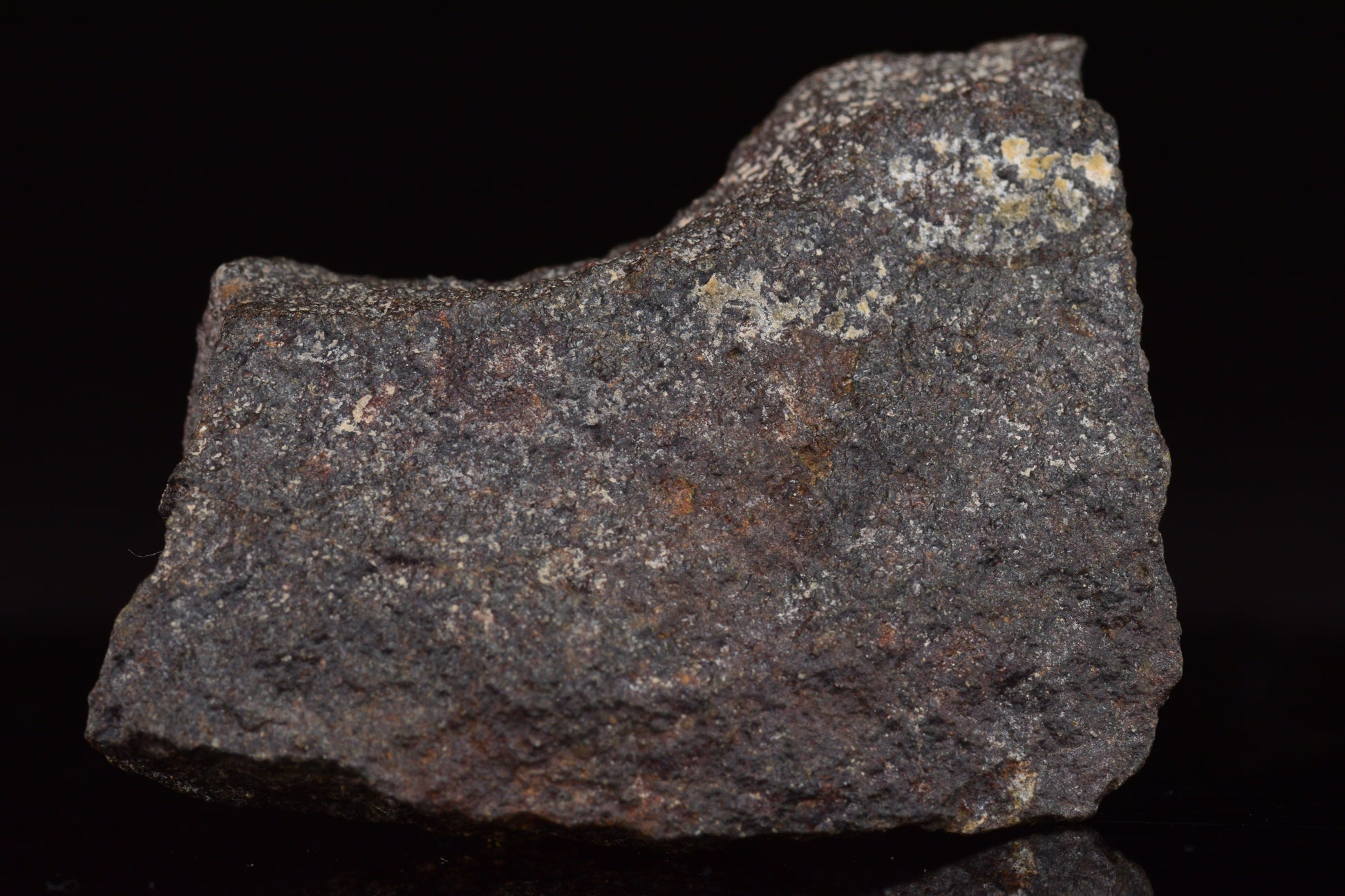 NWA 17489 (CO3.0) Carbonaceous Chondrite Meteorite&nbsp;