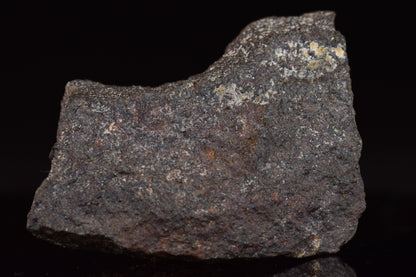 NWA 17489 (CO3.0) Carbonaceous Chondrite Meteorite&nbsp;