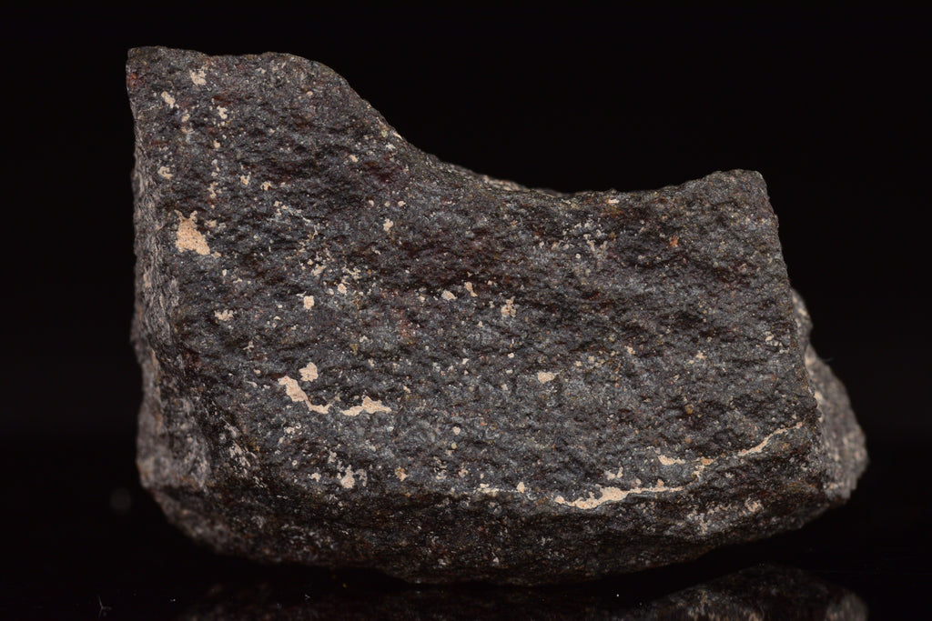 NWA 17489 (CO3.0) Carbonaceous Chondrite Meteorite&nbsp;