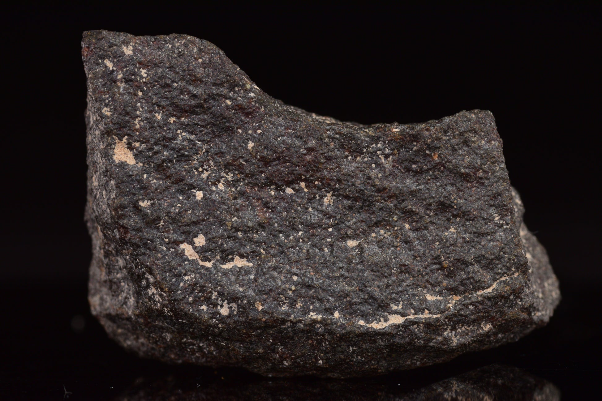 NWA 17489 (CO3.0) Carbonaceous Chondrite Meteorite&nbsp;