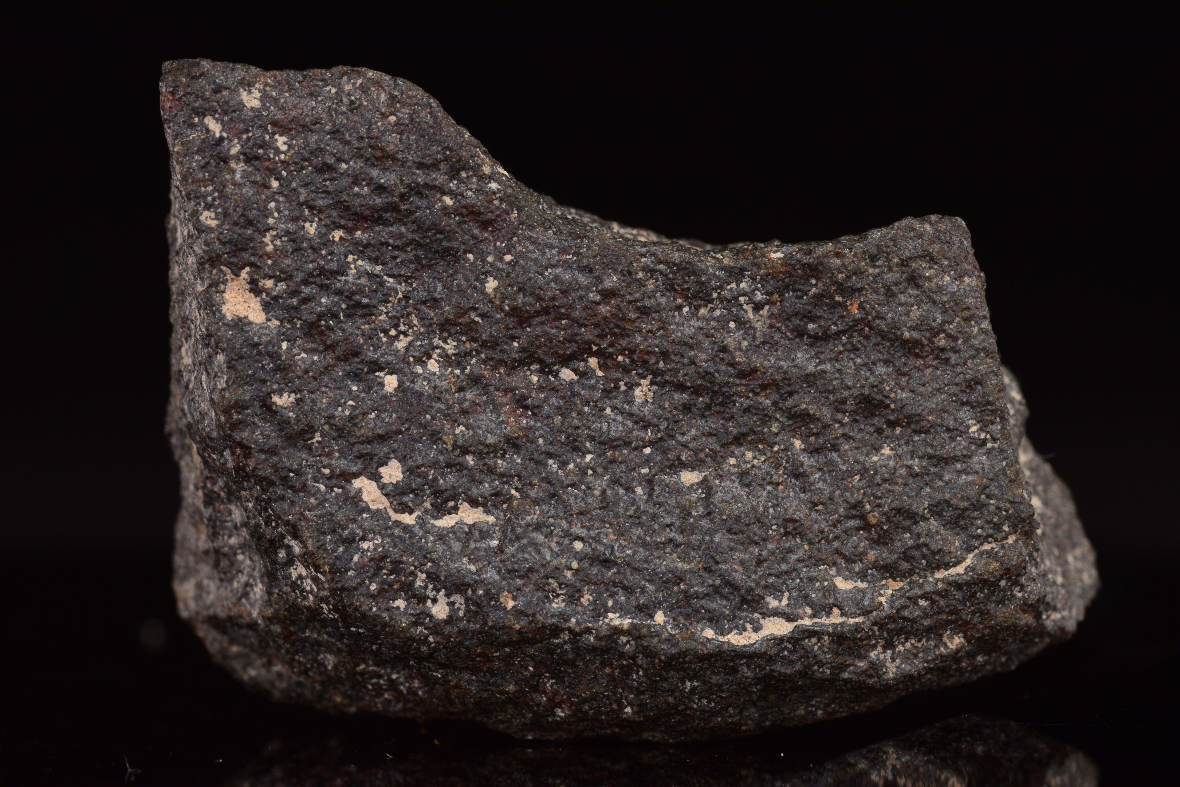 NWA 17489 (CO3.0) Carbonaceous Chondrite Meteorite&nbsp;