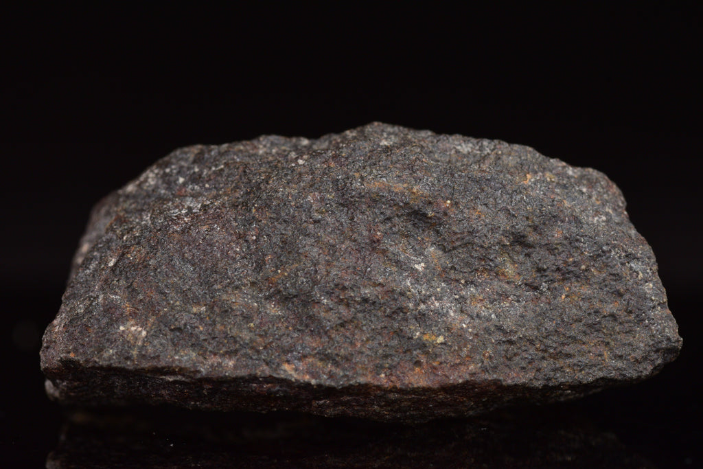 NWA 17489 (CO3.0) Carbonaceous Chondrite Meteorite&nbsp;