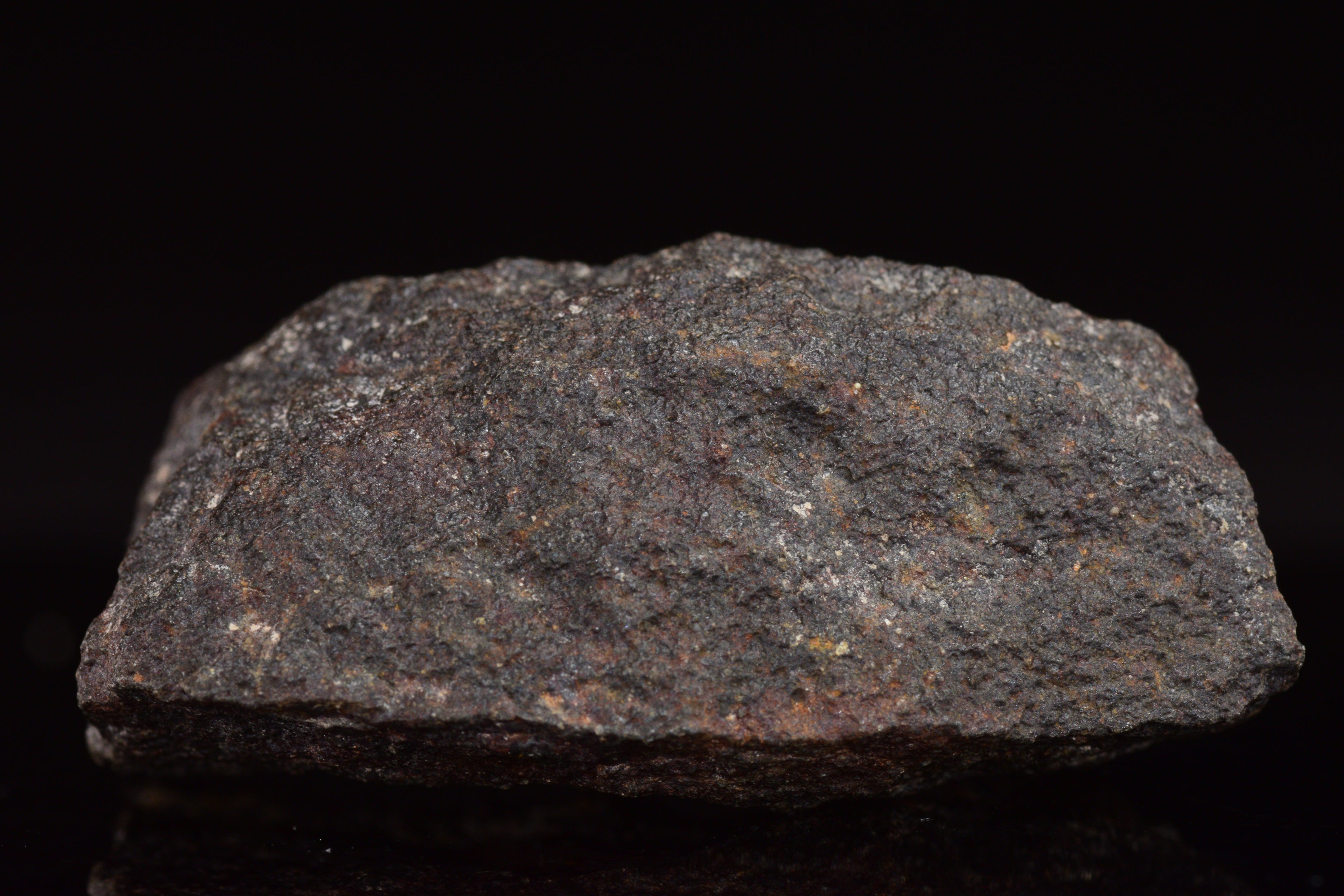 NWA 17489 (CO3.0) Carbonaceous Chondrite Meteorite&nbsp;