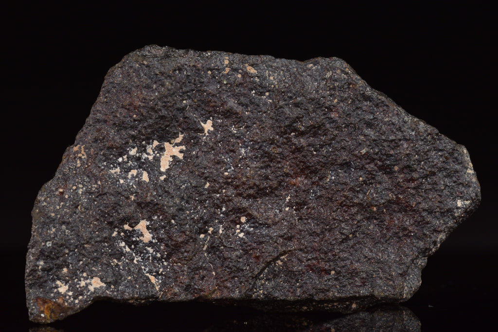 NWA 17489 (CO3.0) Carbonaceous Chondrite Meteorite&nbsp;