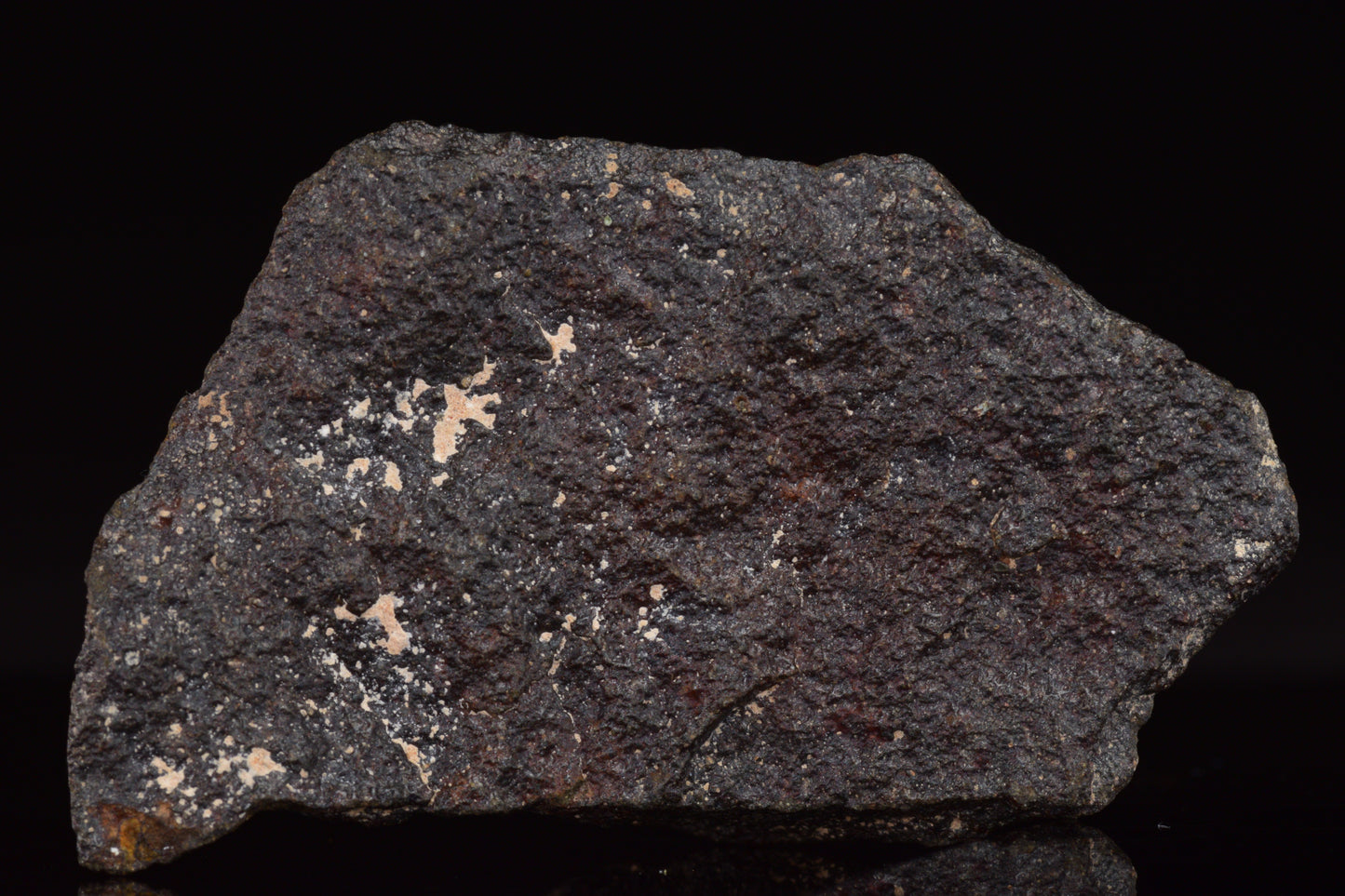 NWA 17489 (CO3.0) Carbonaceous Chondrite Meteorite&nbsp;