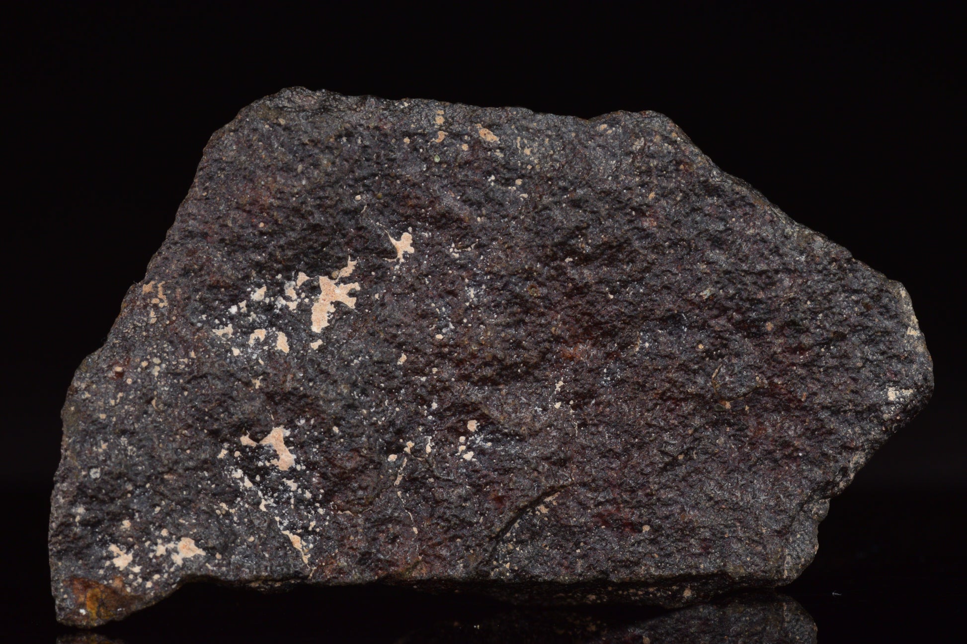 NWA 17489 (CO3.0) Carbonaceous Chondrite Meteorite&nbsp;