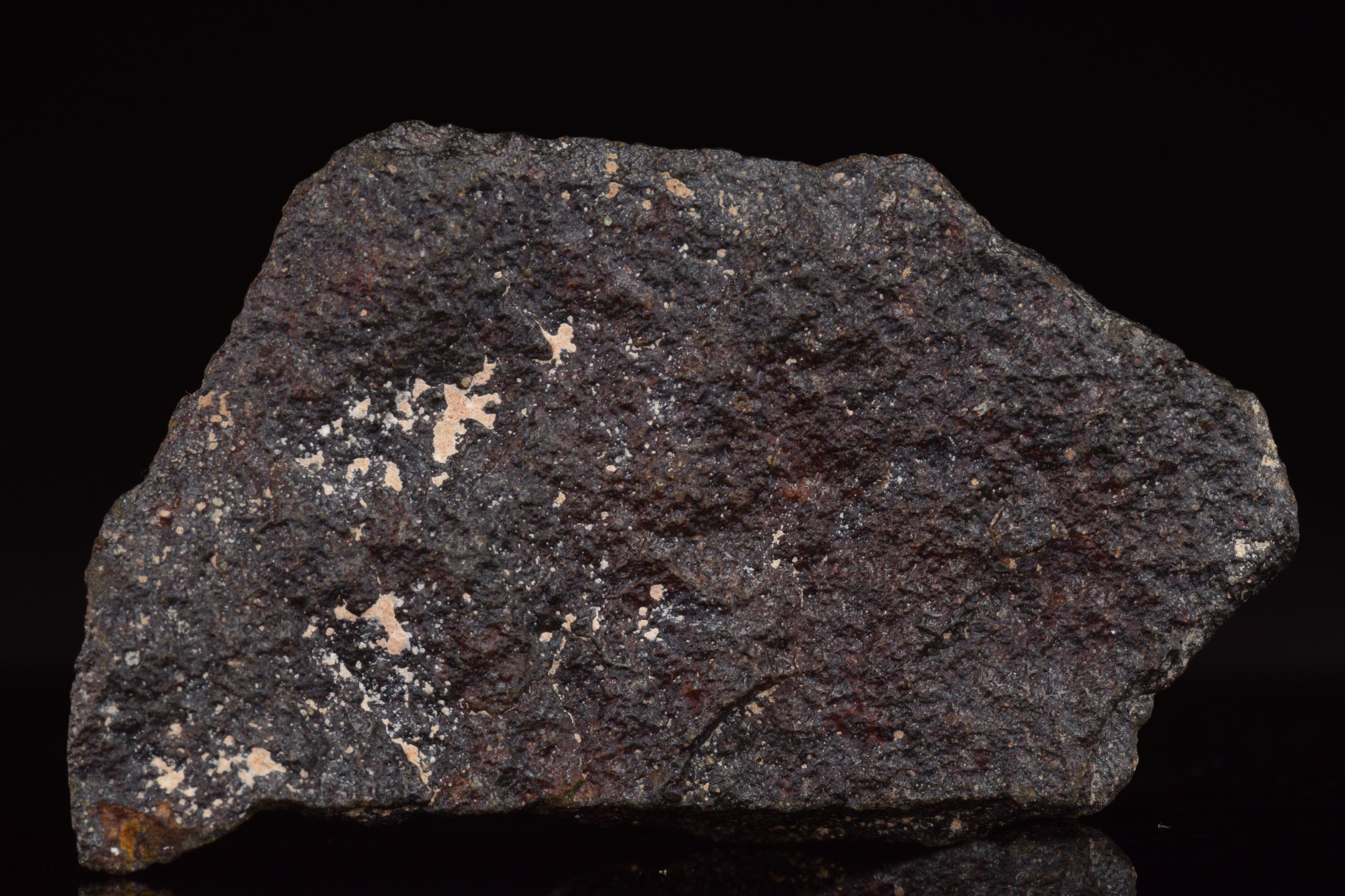NWA 17489 (CO3.0) Carbonaceous Chondrite Meteorite&nbsp;
