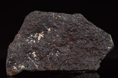 NWA 17489 (CO3.0) Carbonaceous Chondrite Meteorite&nbsp;