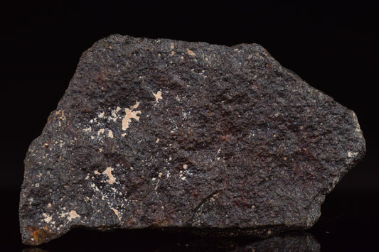 NWA 17489 (CO3.0) Carbonaceous Chondrite Meteorite&nbsp;