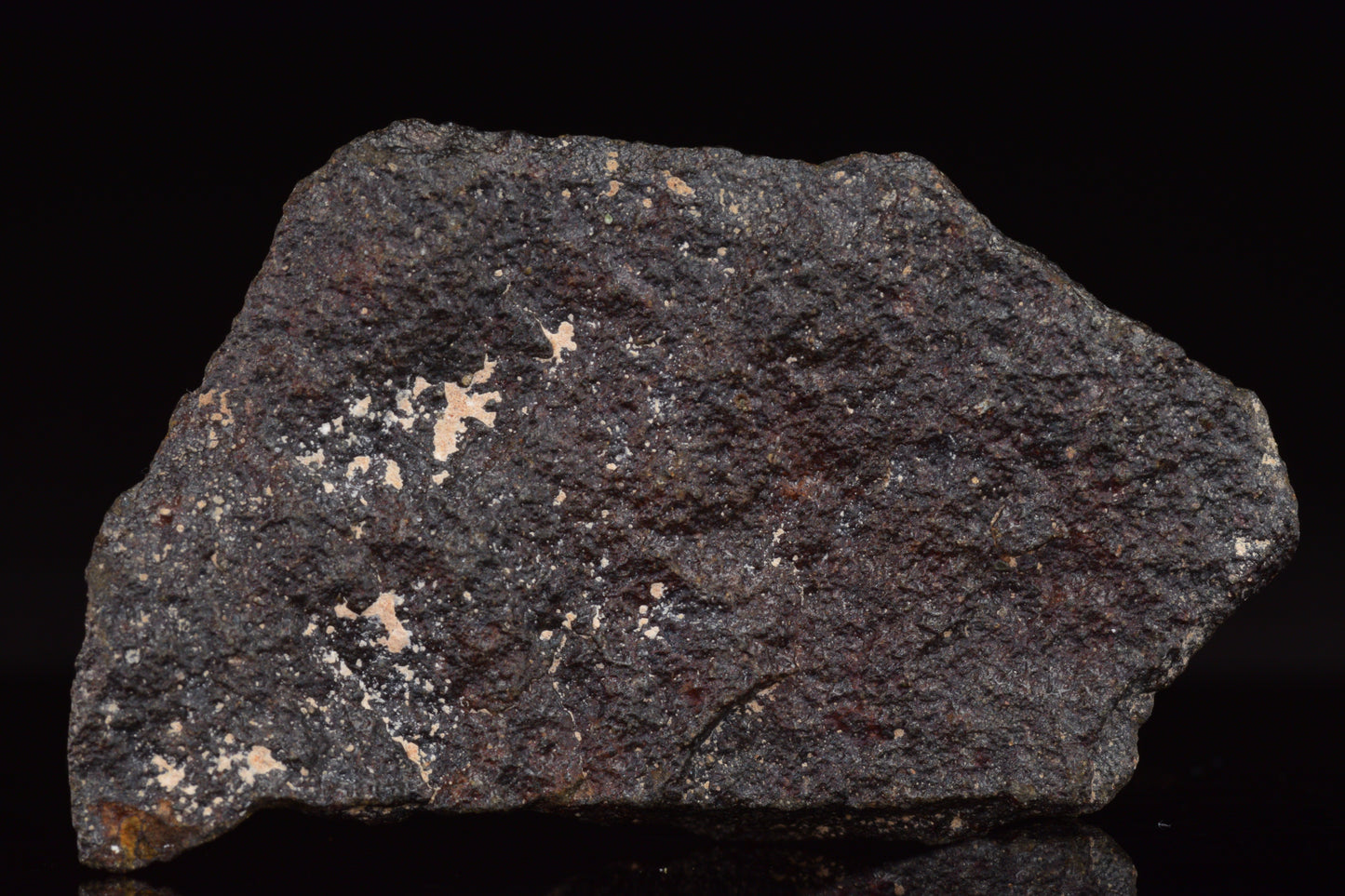 NWA 17489 (CO3.0) Carbonaceous Chondrite Meteorite&nbsp;