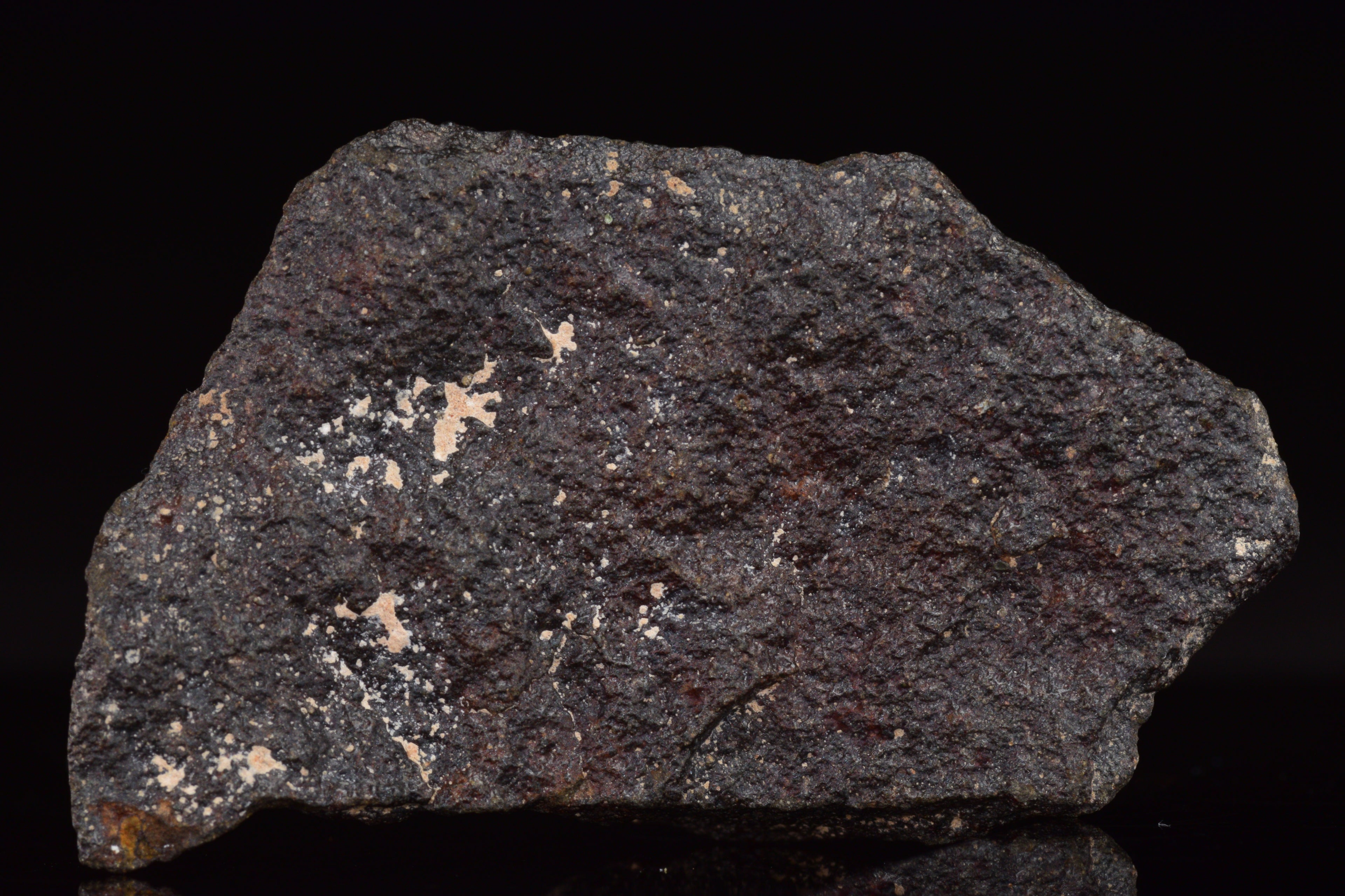 NWA 17489 (CO3.0) Carbonaceous Chondrite Meteorite&nbsp;