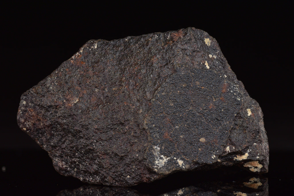 NWA 17489 (CO3.0) Carbonaceous Chondrite Meteorite&nbsp;