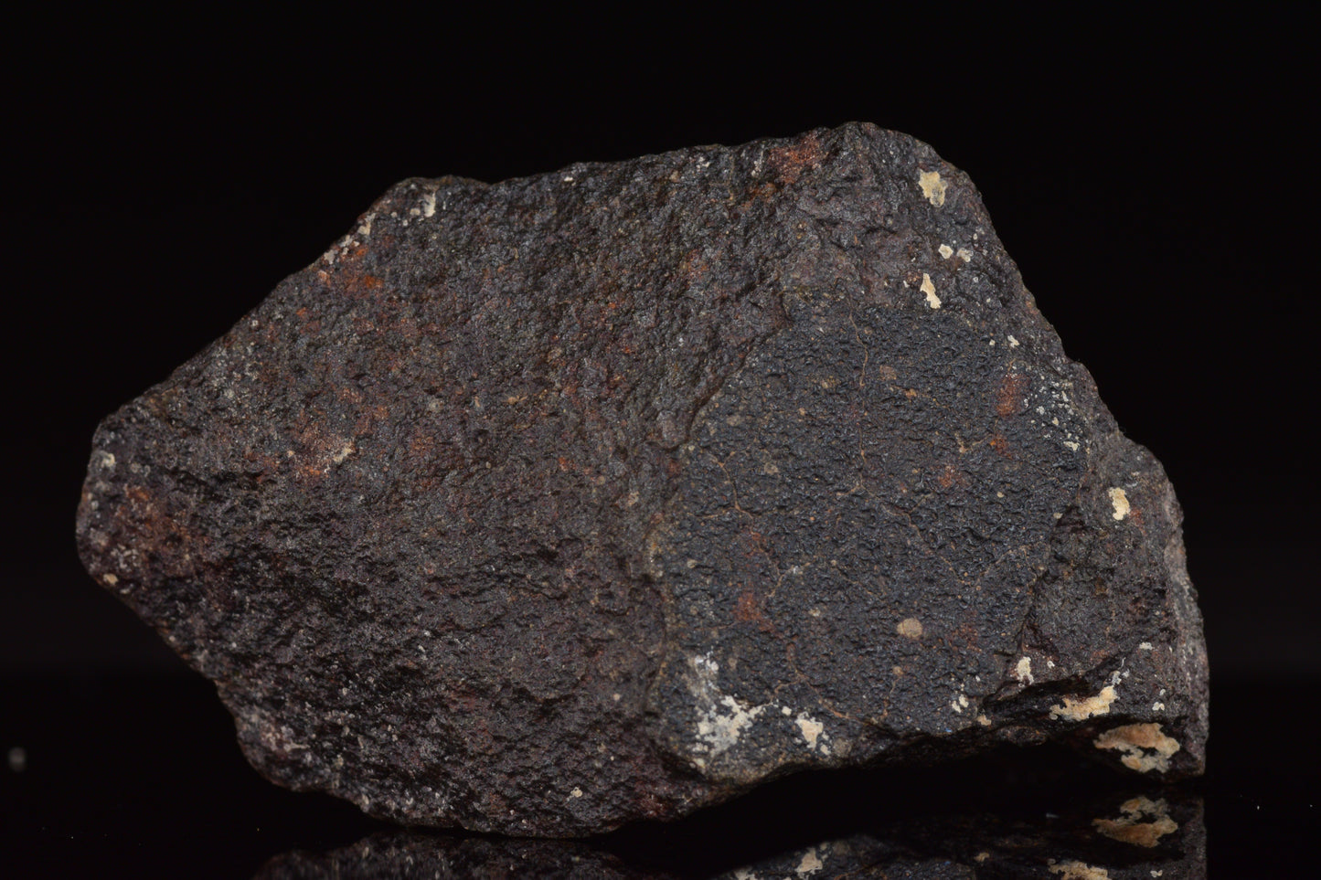 NWA 17489 (CO3.0) Carbonaceous Chondrite Meteorite&nbsp;