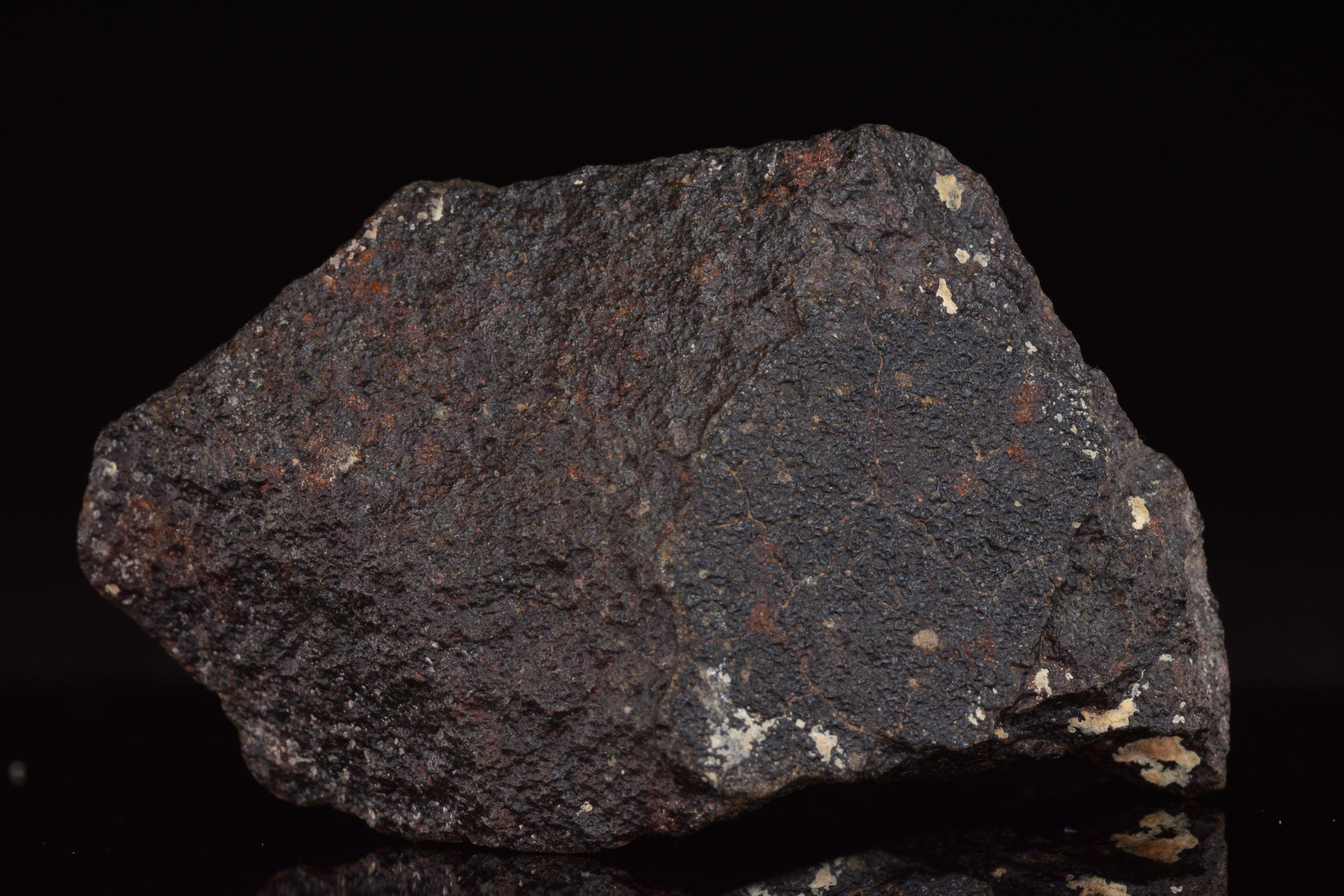 NWA 17489 (CO3.0) Carbonaceous Chondrite Meteorite&nbsp;