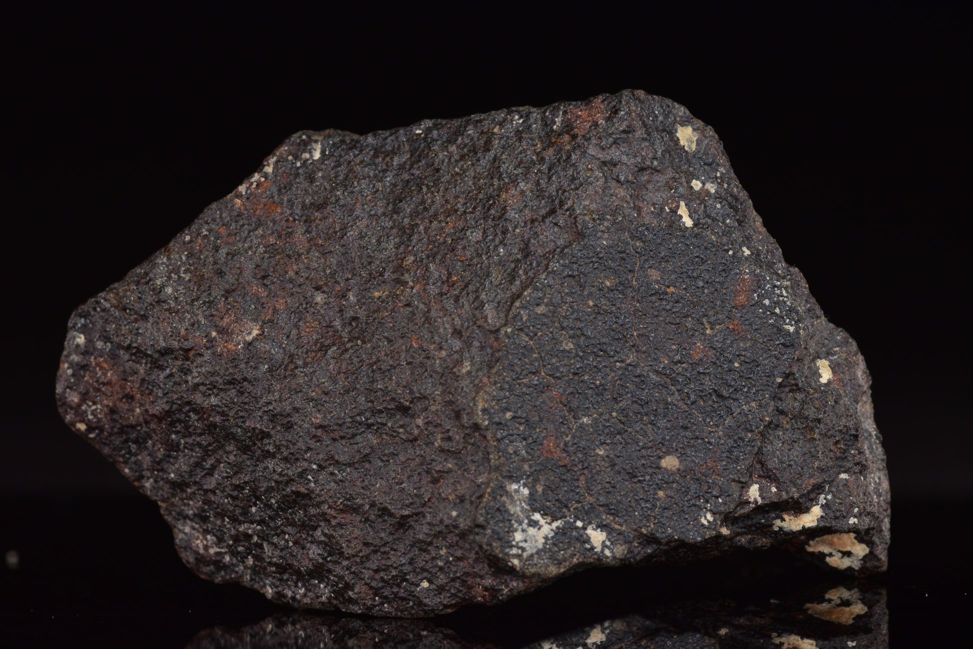 NWA 17489 (CO3.0) Carbonaceous Chondrite Meteorite&nbsp;