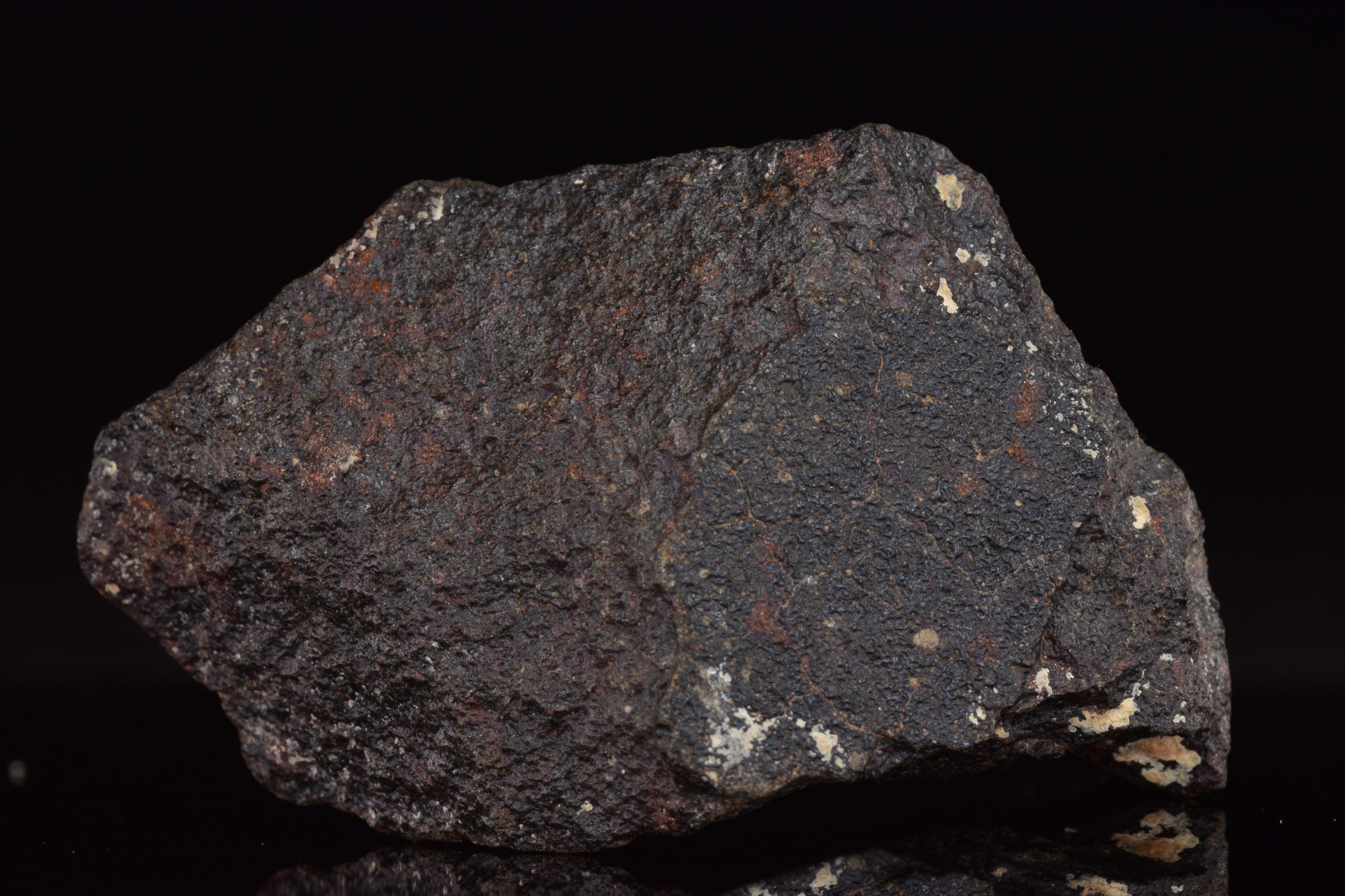 NWA 17489 (CO3.0) Carbonaceous Chondrite Meteorite&nbsp;