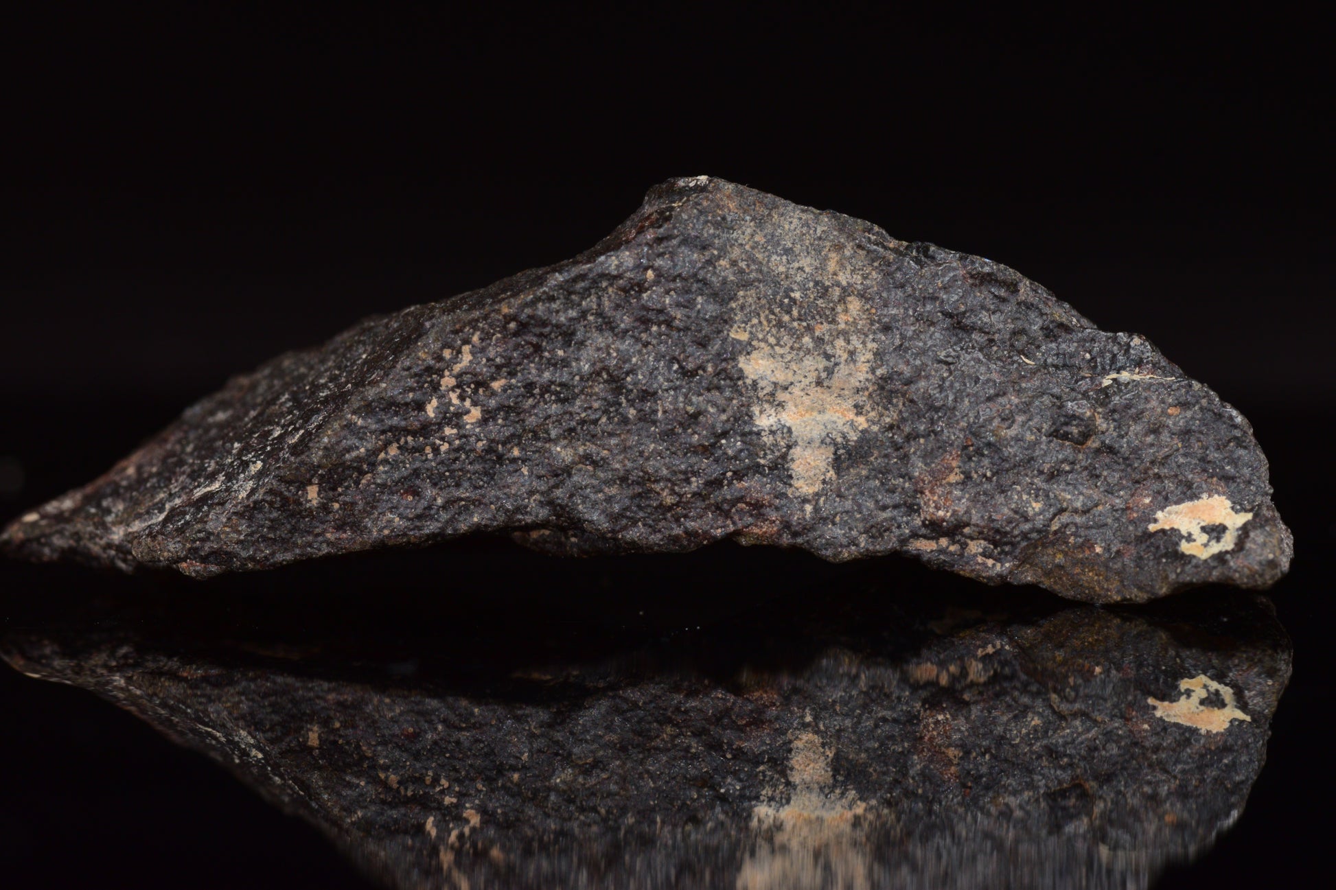 NWA 17489 (CO3.0) Carbonaceous Chondrite Meteorite&nbsp;