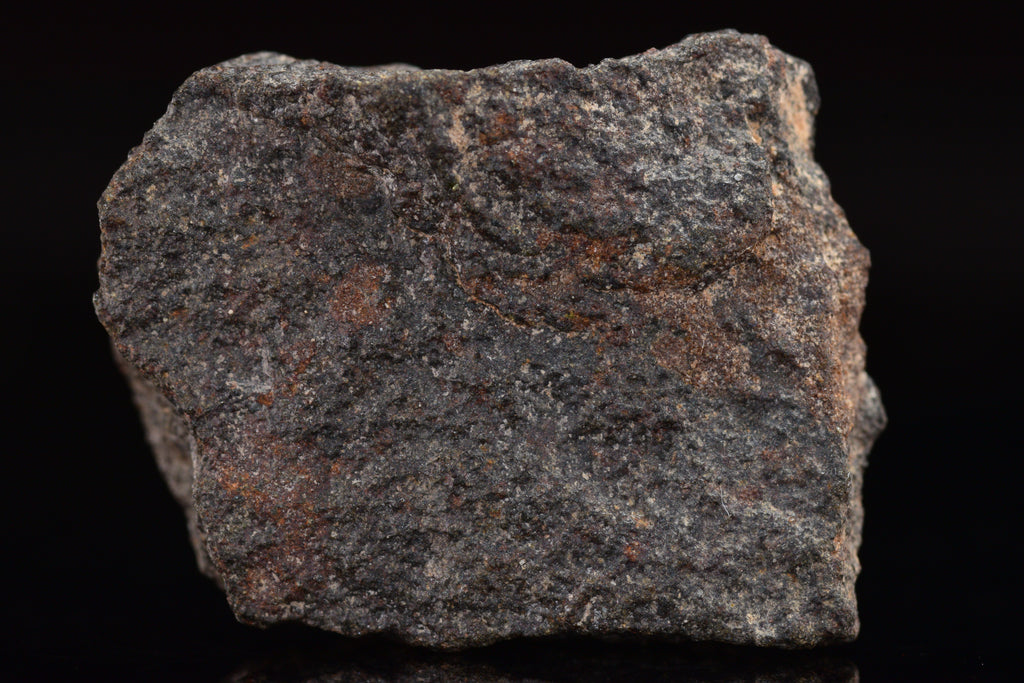 NWA 17489 (CO3.0) Carbonaceous Chondrite Meteorite&nbsp;