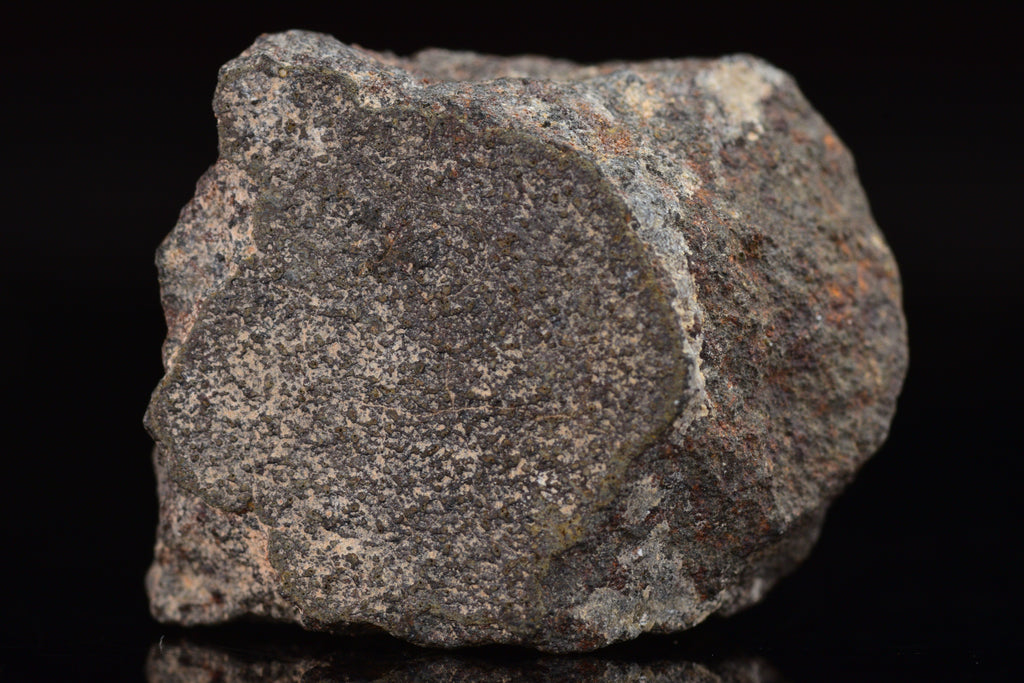 NWA 17489 (CO3.0) Carbonaceous Chondrite Meteorite&nbsp;
