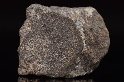 NWA 17489 (CO3.0) Carbonaceous Chondrite Meteorite&nbsp;