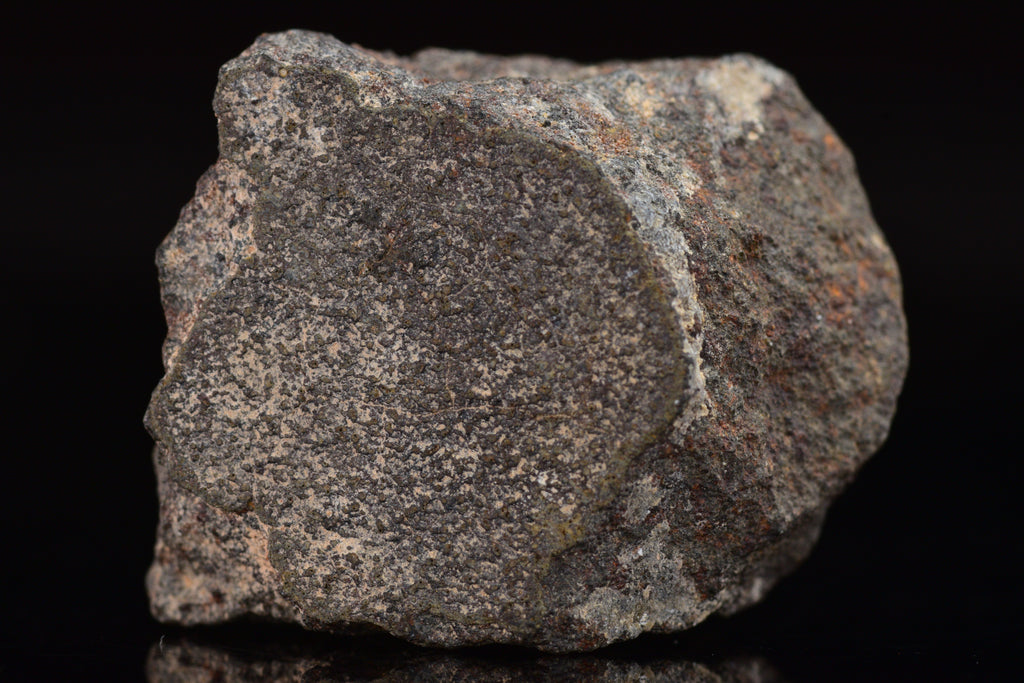 NWA 17489 (CO3.0) Carbonaceous Chondrite Meteorite&nbsp;