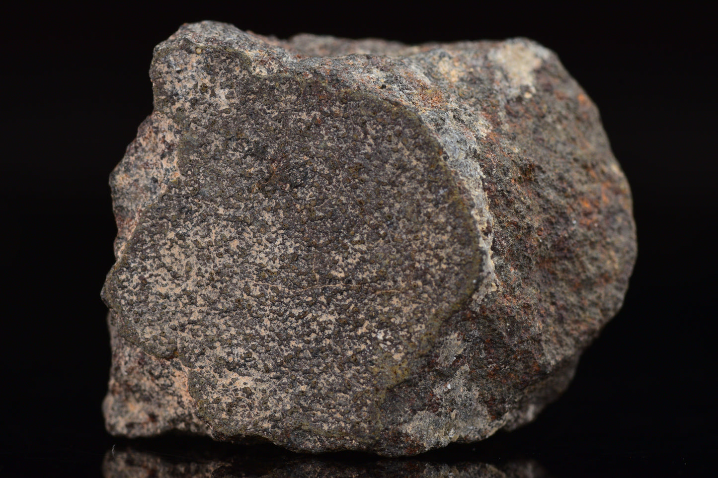 NWA 17489 (CO3.0) Carbonaceous Chondrite Meteorite&nbsp;