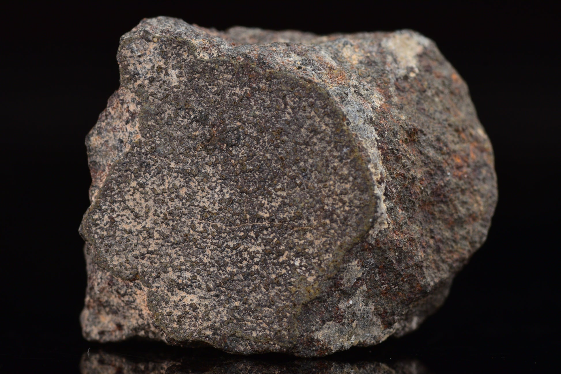 NWA 17489 (CO3.0) Carbonaceous Chondrite Meteorite&nbsp;