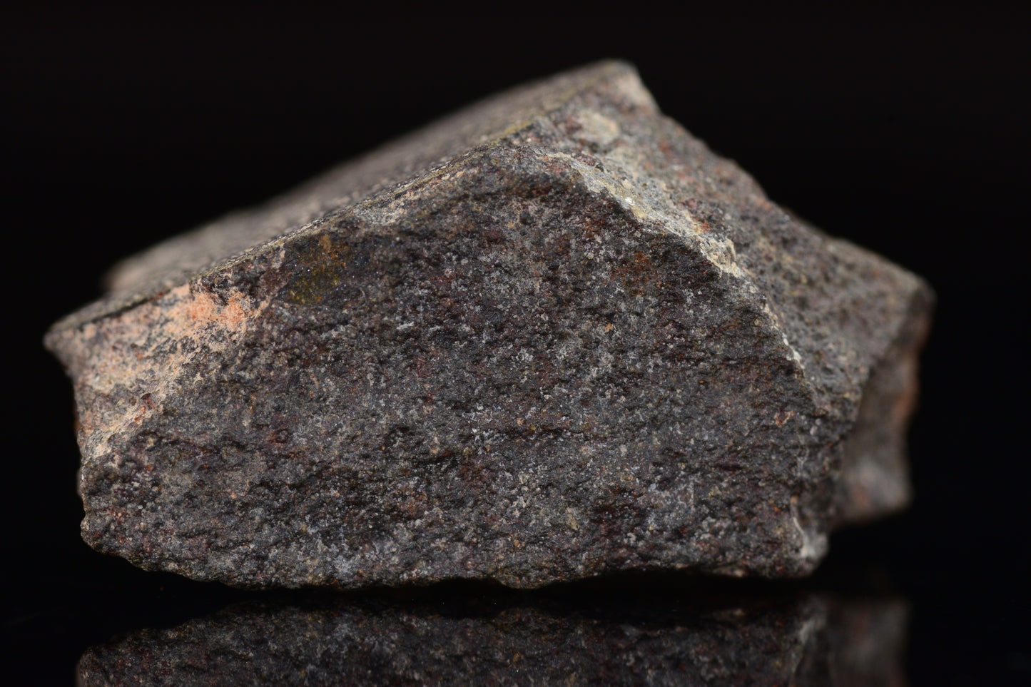 NWA 17489 (CO3.0) Carbonaceous Chondrite Meteorite&nbsp;
