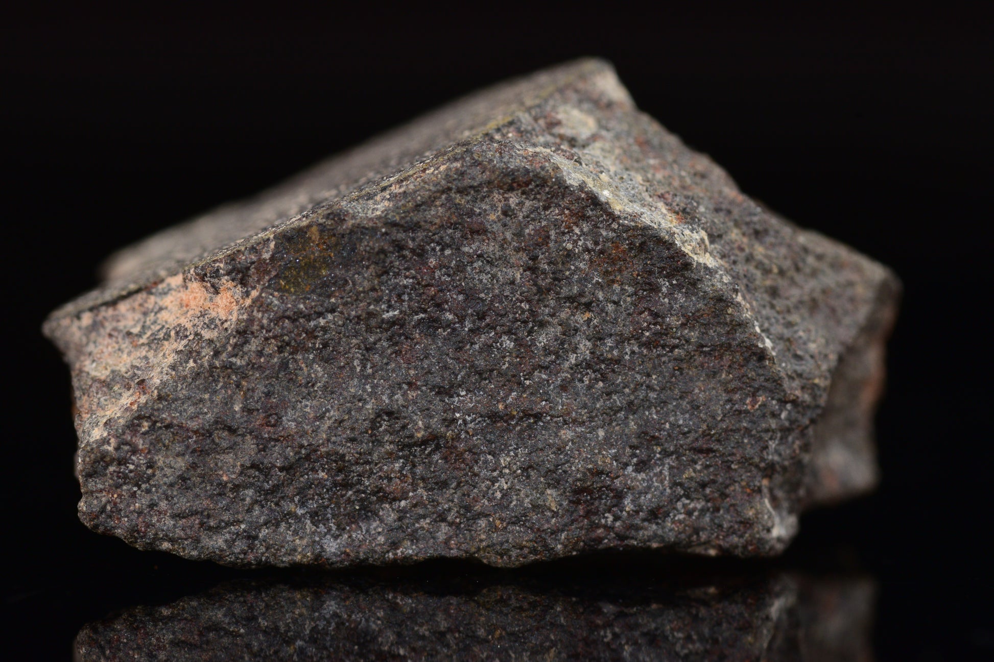 NWA 17489 (CO3.0) Carbonaceous Chondrite Meteorite&nbsp;