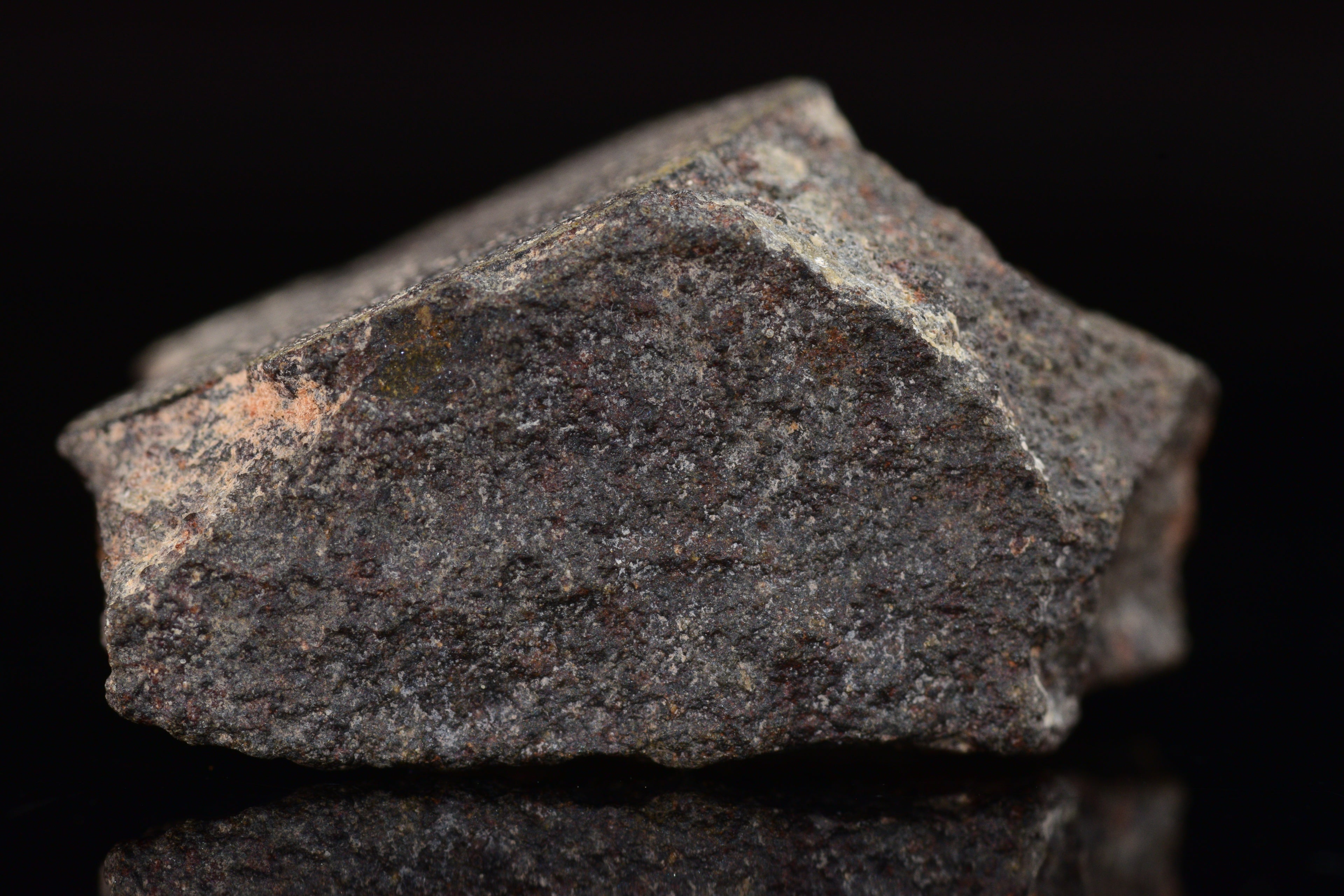 NWA 17489 (CO3.0) Carbonaceous Chondrite Meteorite&nbsp;