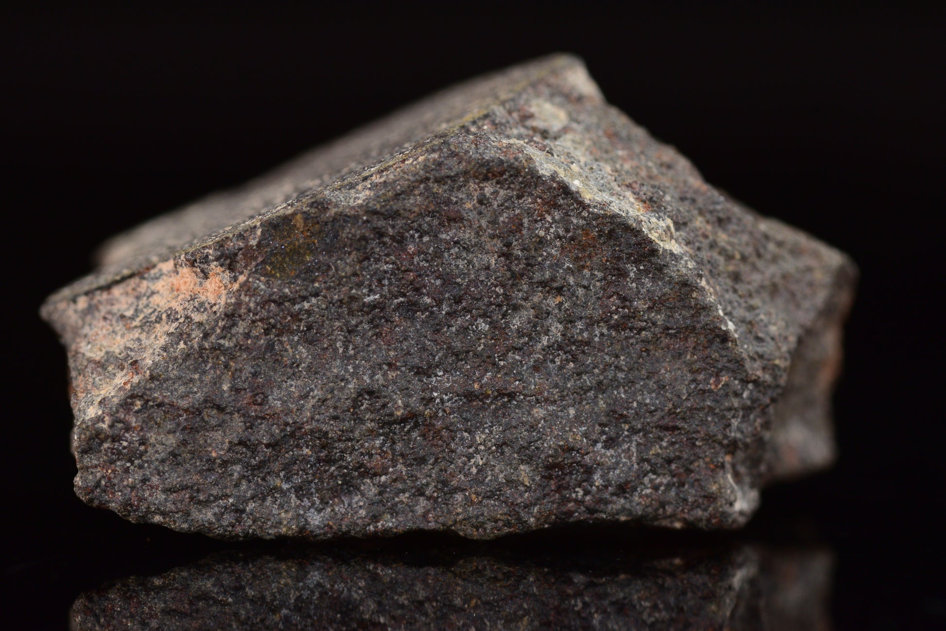 NWA 17489 (CO3.0) Carbonaceous Chondrite Meteorite&nbsp;