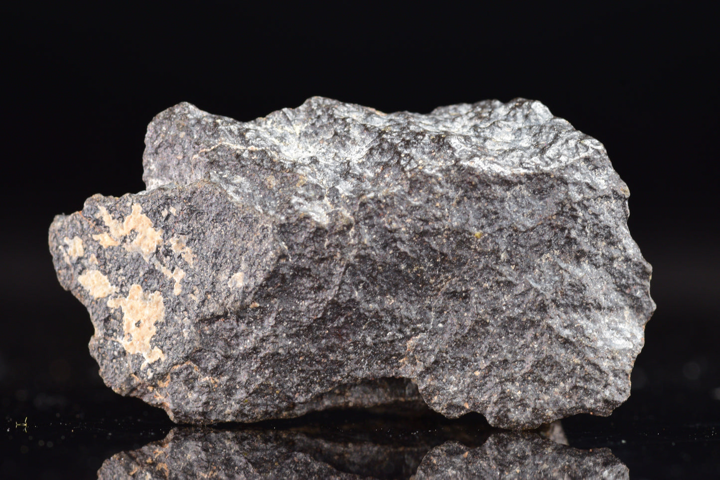 NWA 17489 (CO3.0) Carbonaceous Chondrite Meteorite&nbsp;