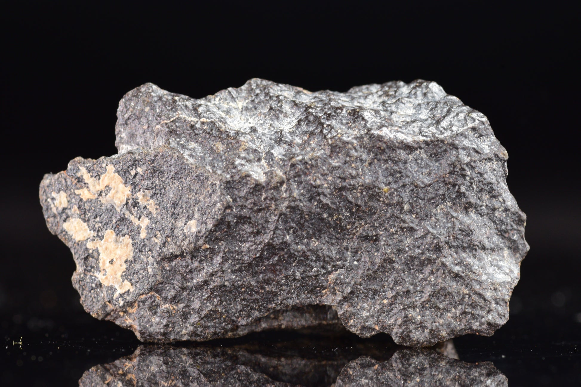NWA 17489 (CO3.0) Carbonaceous Chondrite Meteorite&nbsp;