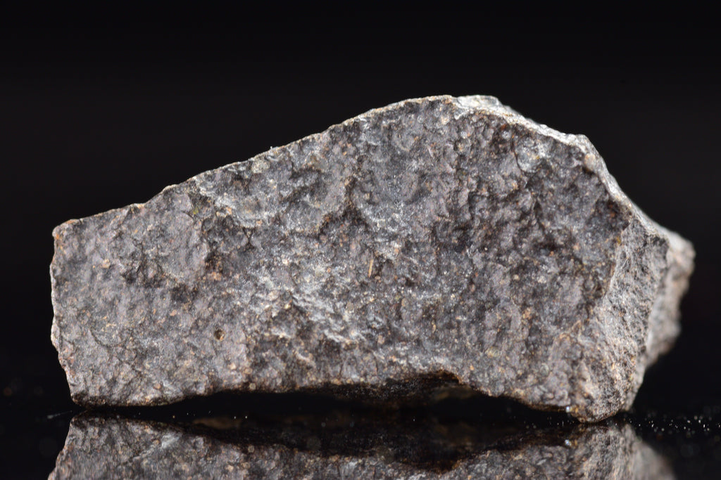 NWA 17489 (CO3.0) Carbonaceous Chondrite Meteorite&nbsp;