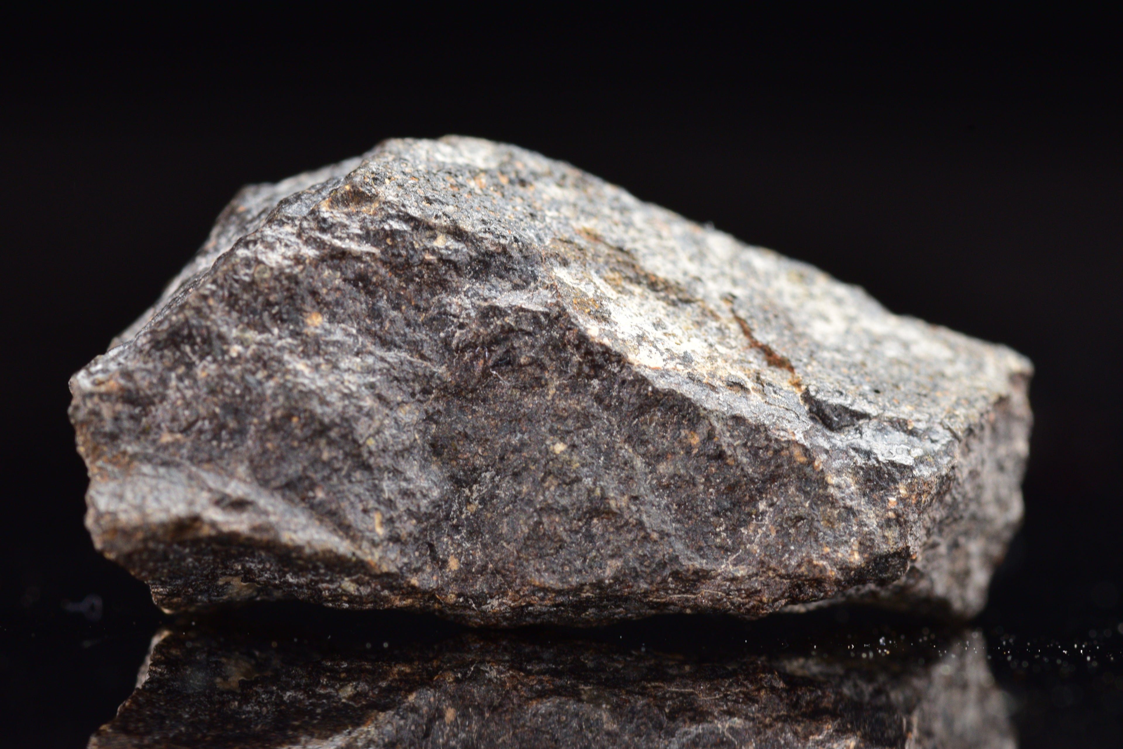 NWA 17489 (CO3.0) Carbonaceous Chondrite Meteorite&nbsp;